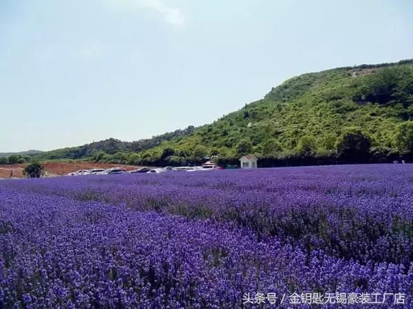 无锡阳春三四月，一步、一停、一美景，刚好遇见命定的你！