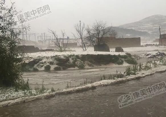 甘肃岷县遭遇特大暴雨冰雹，受灾有哪些？