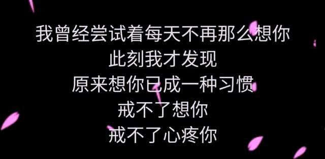 对不起我又想你了，还是忍不住把你牵挂！送给最想念的你！