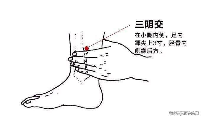 t01b52b3adfbc2ee17f.jpg