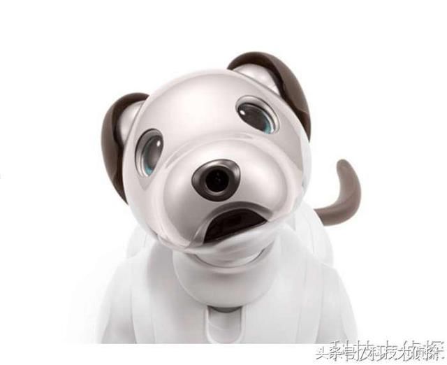索尼的爱宝机器狗回来了 OLED眼睛可爱迷人