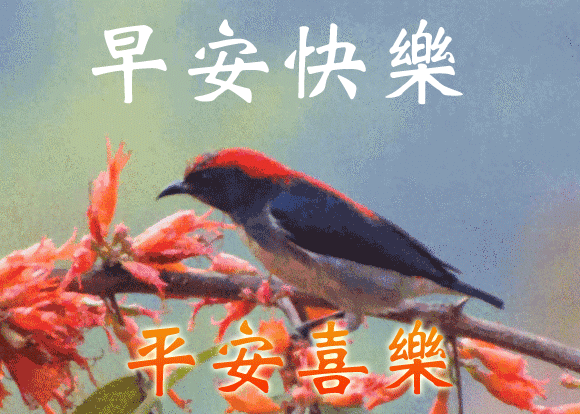 6月9日夏天到了早上好v小孩语小孩图片早上好一个大全a小孩写作业的搞笑图片图片