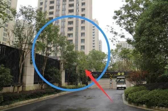 同一个栋楼,电梯房买哪一层最好?看完别懊悔买