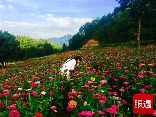 豫西大峡谷“暑价漂流节”对老师学生推出1元爱心门票