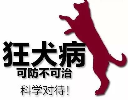 网络上传的“狂犬病”是真的吗?