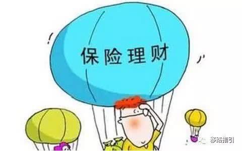 保险真正保是什么