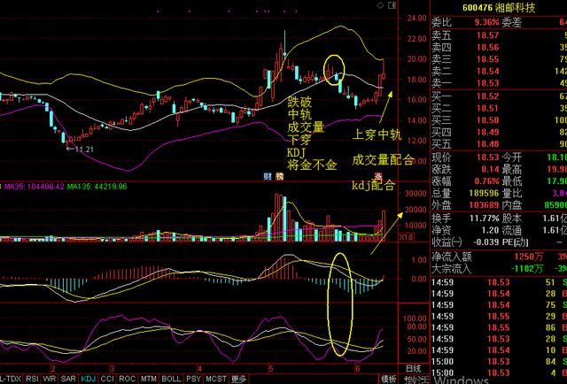 今天的急跌你割肉还是加仓？