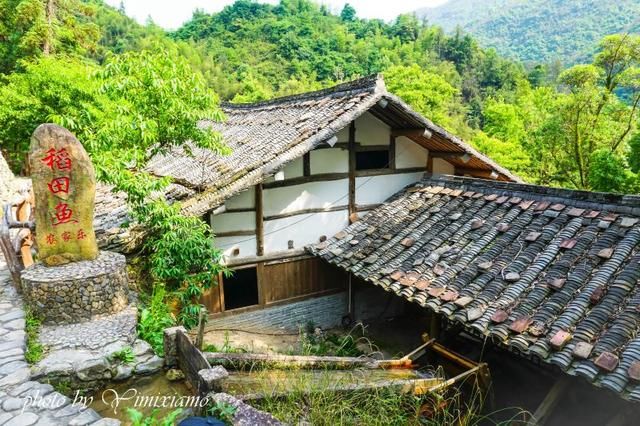 深山里碗窑村落:六百年的古韵,换你一次回眸