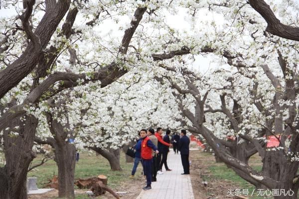 收好 | 清明小长假，石家庄周边游玩指南！