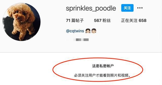 伊能静儿子与男生亲嘴,穿纱裙摆妩媚姿势,网友:父母都有责任