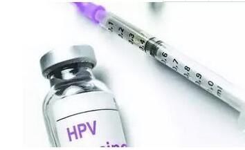 HPV 疫苗究竟值得打吗