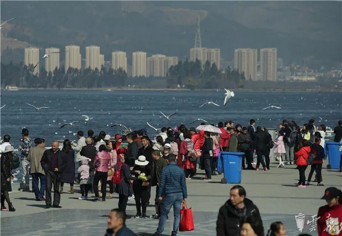 说好的过年昆明变空城呢?城里城外……分分钟被这场面惊呆了