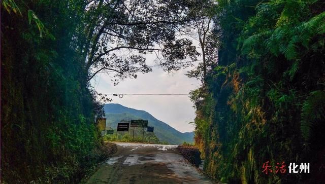 化州大山深处竟隐藏如此古宅，占地10000平方米，曾显赫一时！