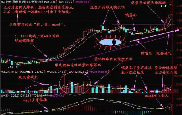 (3)当庄家再度建仓收集筹码时,股价再次上升,形成鸭嘴部.