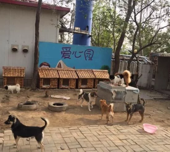 北京 威远保安公司-保安公司-北京保安公司
