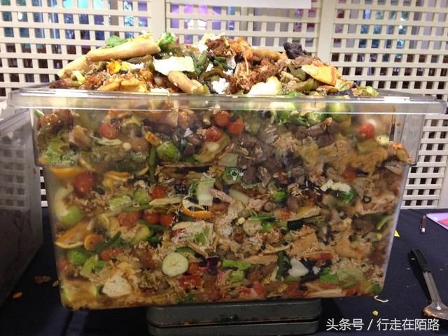 欧美浪费食物占全球60%：不好看就丢，翻垃圾箱就游遍欧美