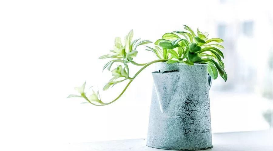 新房到手,装修公司送的大优惠可领取吗?