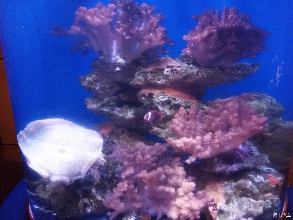 天津海昌极地海洋馆一日游