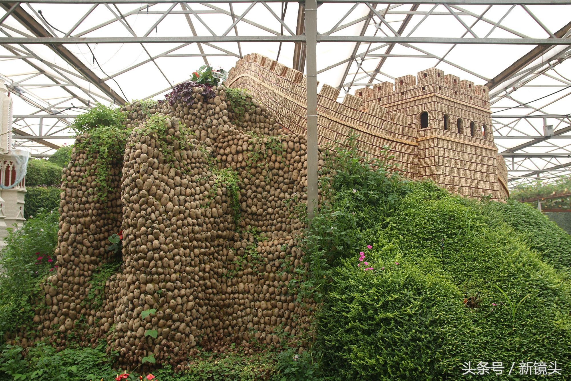 你能看出来吗?这些全是用蔬菜瓜果做成的!