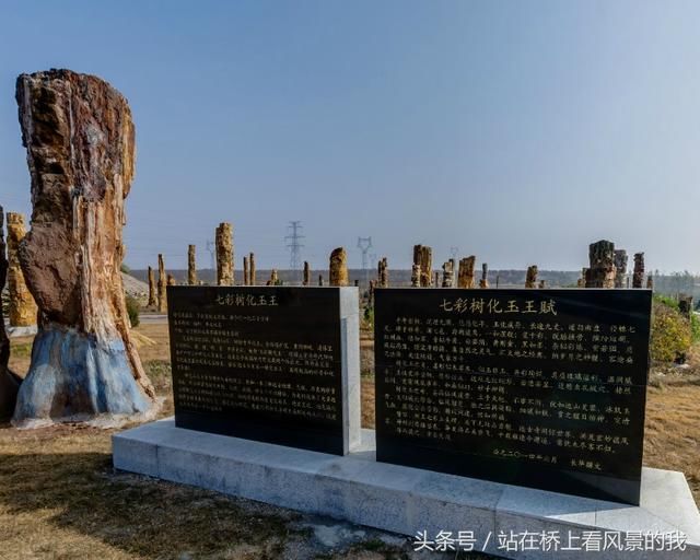 世界上第一朵花绽放 第一只鸟飞起的地方 朝阳鸟化石国家地质公园