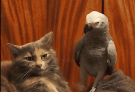 段子:千万不要打扰那些迟迟不回复你的人