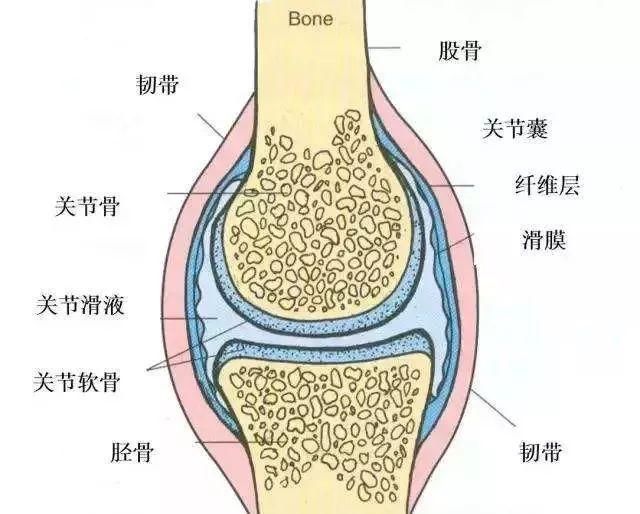 运动后膝盖疼痛滑膜炎怎么办？