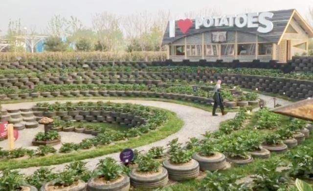 世园会昨日正式开园!首日超过3.5万游客畅游花