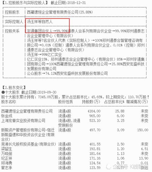 中国上市企业中