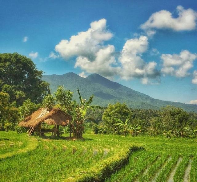 让人受益匪浅的句子,每一句话都提升自己的正
