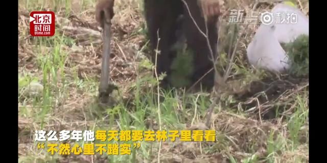 黑龙江老人坚持种树20年，种植上百万棵树，成就大森林