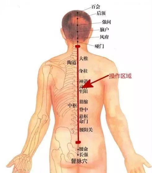 节气养生丨今日雨水，好雨时节，养肝健脾四步走~