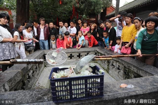 中国游客爱在这些景点撒钱，钱最后都到了他们手里……