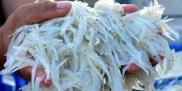 洛阳附近免费“夏威夷”，人少景美路途近！中原看海必去之地