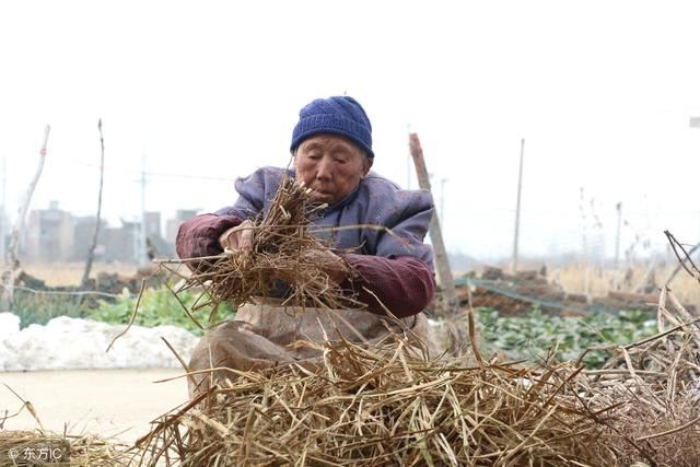 七十三岁的老农民说：只要干的动，绝不退休