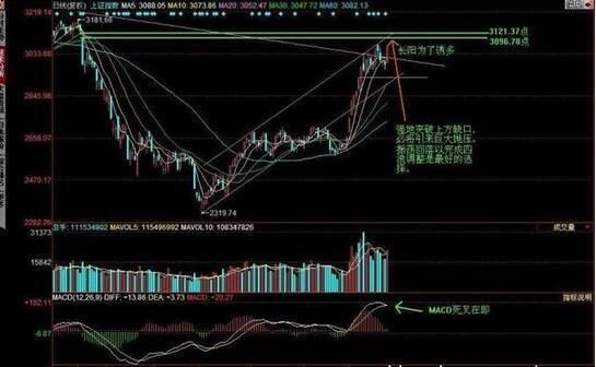 中国股市扯掉最后一块“遮羞布”，喊出保护弱小散户的旗号！