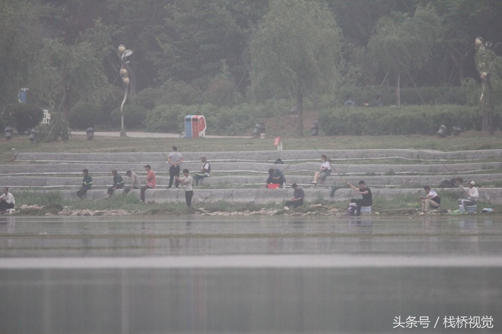 大雨过后河中鱼儿真多，青岛市民扎堆钓鱼乐真是舒坦