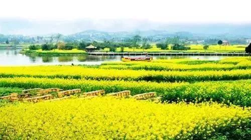 好消息！重庆到潼南开通城际快车，沙坪坝设多个乘车点