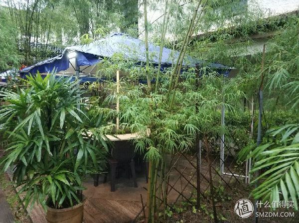 林断山明竹隐墙-名声不显却风味独佳的岑记饭店