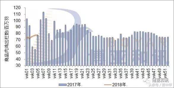 2018春节后毛鸡价格存下跌风险 ， 市场需理性发展