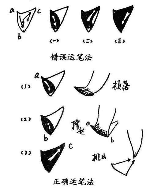 库里每天进行力量训练吗