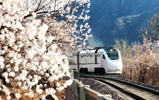 别去日本了！北京这趟6元小火车，带你穿越绝美樱花！沿途风景惊