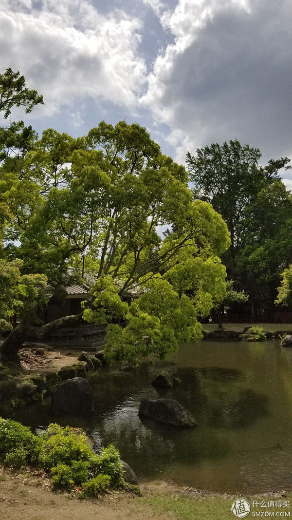 带着蘑菇去旅行。我们全家二刷日本之旅 篇五:D9-D10 奈良的鹿与