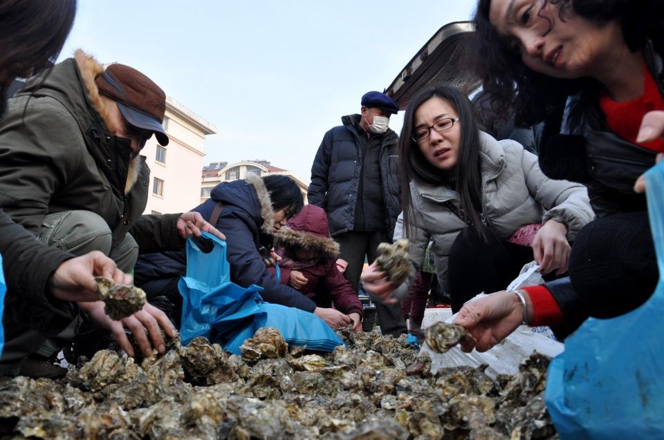 青岛早市 海鲜5块钱一斤 两“嫚”扛着麻袋装 这是要吃到年初几呀