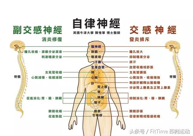 看恐怖片也能减肥，真的假的？