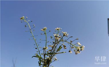 退伍军人安置新政策是怎样的