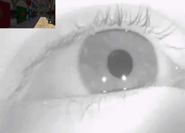 重定向行走:一眨眼的功夫,眼前的vr画面就别掉了包