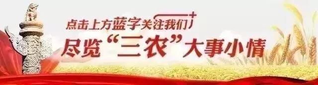 一核算，山西这个村集体资产近2个亿，村民们都惊呆了!