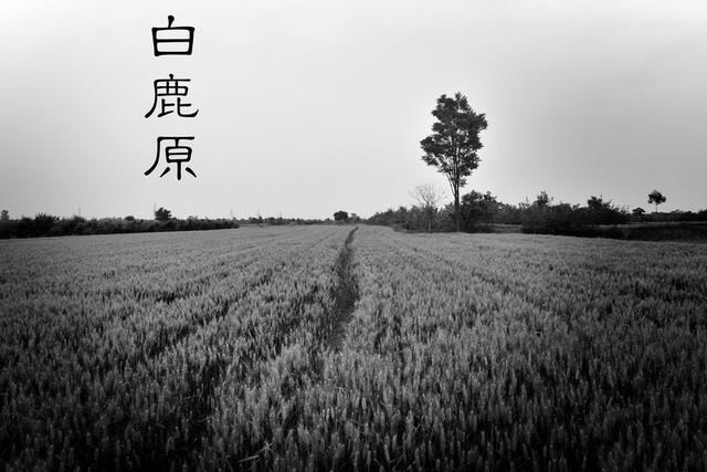 t01ba51bdc890996bd5.jpg