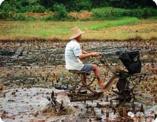 为什么去世的人仍有土地，新生儿却分不到土地？