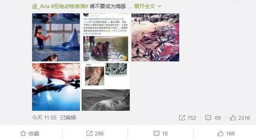 又翻车！吴宣仪金子涵涂口红亲吻海豚遭点名批评